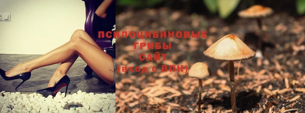 прущая мука Лиски