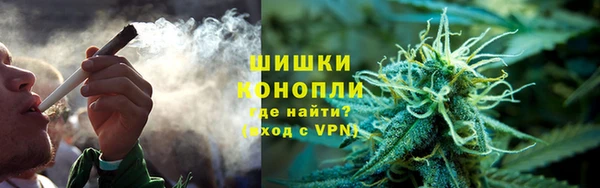 крисы Липки