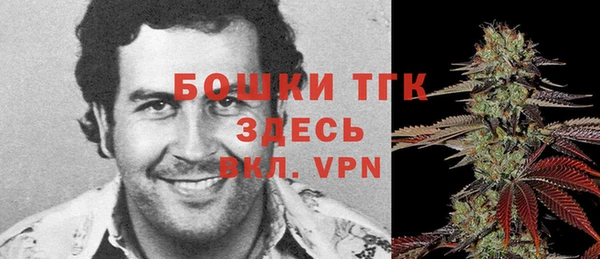 крисы Липки
