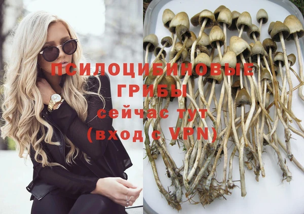 крисы Липки