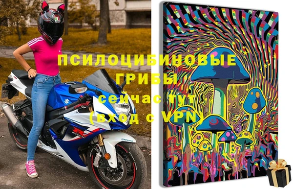 крисы Липки