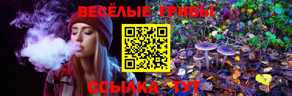 Псилоцибиновые грибы ЛСД Осинники